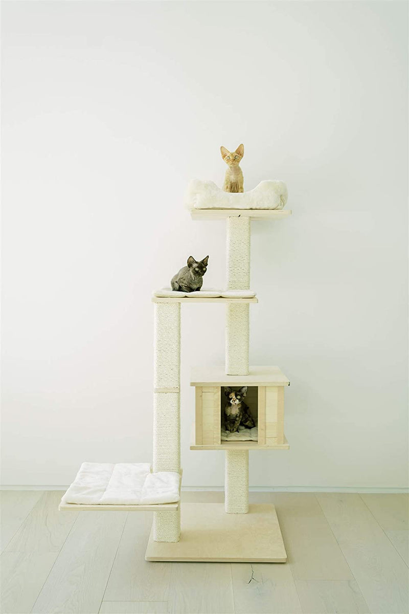 PAWMONA Multi-Level Cat Tree Bed Condo, 60", Indoor Cat Tower with Square-Shaped Scratching Posts for Cats and Kittens, 4 Beds, 1 Covered, Made from Natural Birch Wood and Natural Sisal Matting, Cream