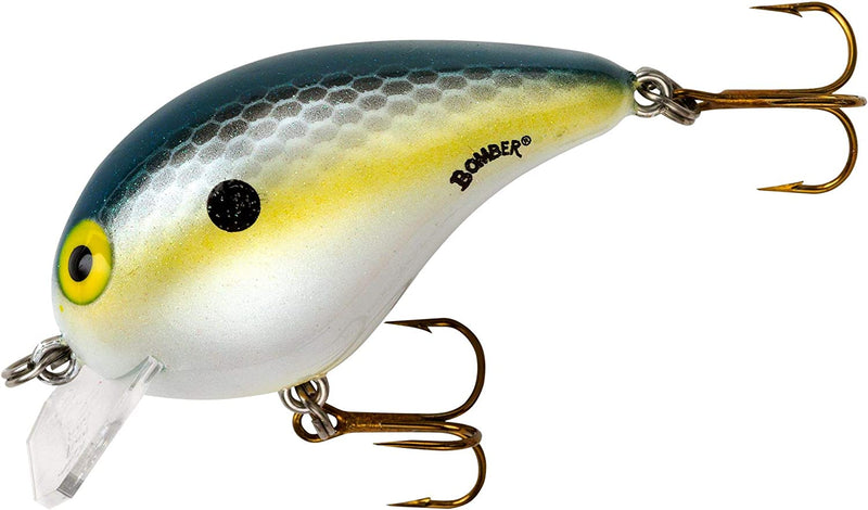 Bomber Lures Square a Crankbait Fishing Lure Sporting Goods > Outdoor Recreation > Fishing > Fishing Tackle > Fishing Baits & Lures Pradco Outdoor Brands Foxy Shad 2-Inch 