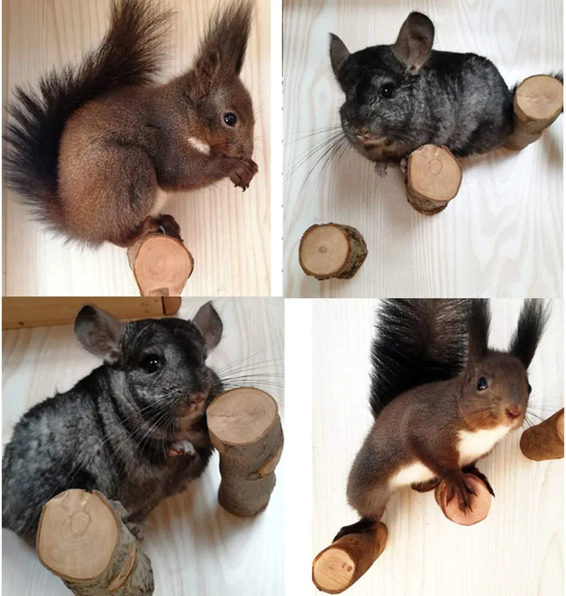 QBLEEV Hamster Chew Toys for Teeth, Wood Chew Sticks Stands Perches for Squirrels Rabbits, Cage Supplies Platform Stands for Birds Parrot Guinea Pigs Chinchilla 3- Pack Animals & Pet Supplies > Pet Supplies > Bird Supplies > Bird Toys QBLEEV   