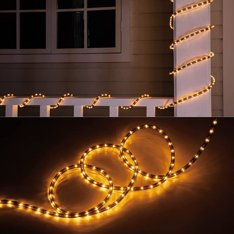 Color Changing Rope Lights: Outdoor String Lights with Plug & Remote | Twinkle Christmas Lights for Bedroom Wedding Patio Garden Holiday Lights Decoration with 16 Colors (33 FT) Home & Garden > Lighting > Light Ropes & Strings minetom 36FT-Warm White  