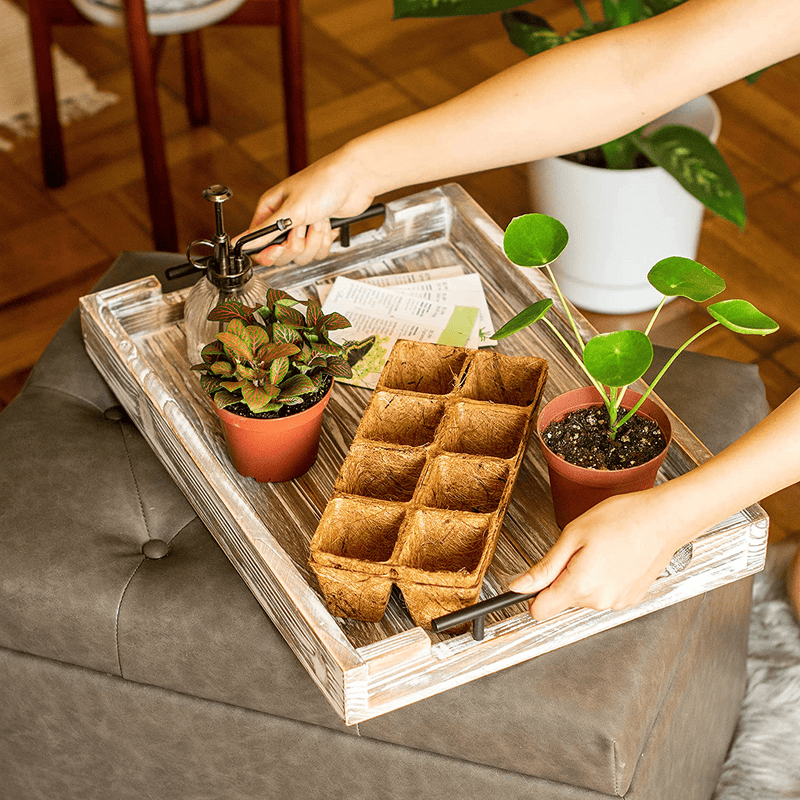 COQUUS NOVUS - Ottoman Tray with Handles & Coasters - 20 inch Large Decorative White Rustic Wooden Serving Tray, Breakfast in Bed, Coffee, Tea, Charcuterie, Home Kitchen Decor Home & Garden > Decor > Decorative Trays COQUUS NOVUS   