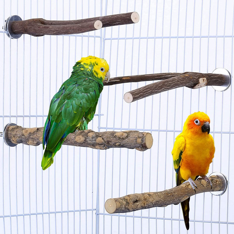 Cozycabin 4 Pcs Bird Perches Parrot Stand, Natural Wood Bird Perch Stand Bird Cage Accessories for Small Budgies Conure Parakeets Cockatiels Lovebirds Animals & Pet Supplies > Pet Supplies > Bird Supplies > Bird Cages & Stands CozyCabin Style 1  
