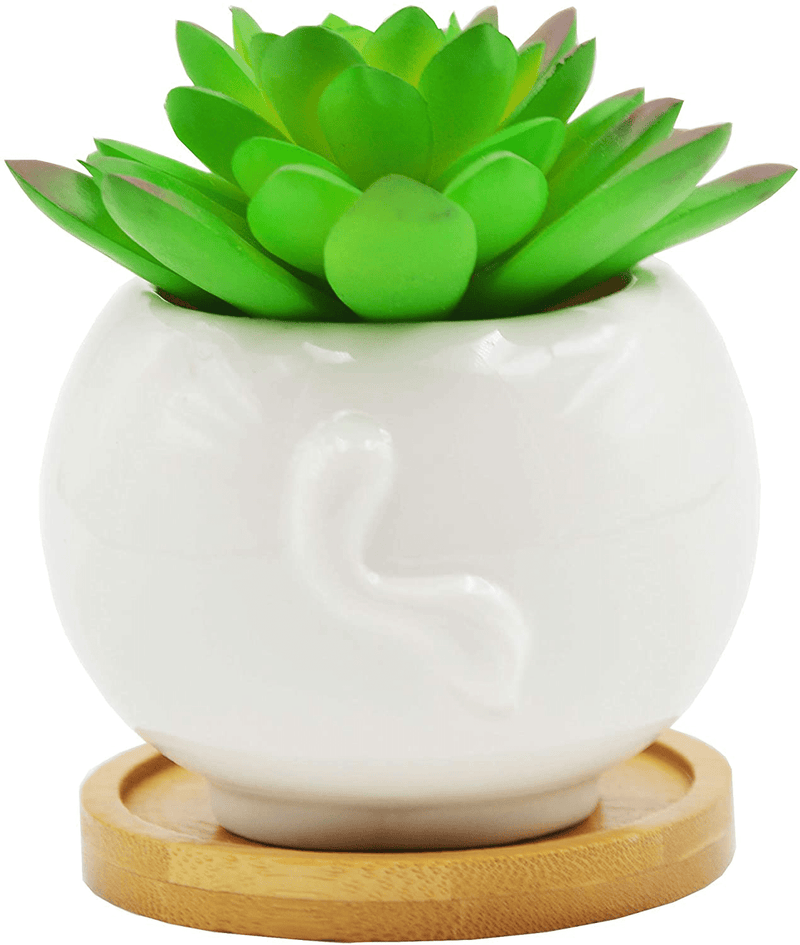 Cute Animal Cow Shaped Cartoon Ceramic Succulent Cactus Flower Pot with Bamboo Tray (Plant Not Included) Home & Garden > Decor > Vases Cuteforyou   