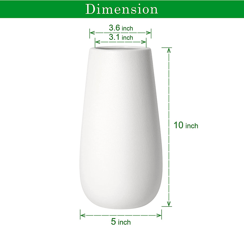 D'vine Dev 10 Inch Elegant Oval Ceramic Vase for Flowers, Home Décor Vase with Design Box, White, VS-OV-SW Home & Garden > Decor > Vases D'vine Dev   
