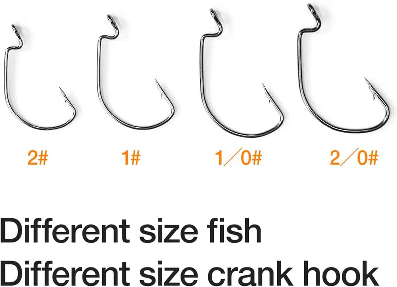 Cotocook 205Pcs Fishing Accessories Kit, Including Jig Hooks, Bullet Bass Casting Sinker Weights, Fishing Swivels Snaps, Sinker Slides, Fishing Set with Tackle Box Sporting Goods > Outdoor Recreation > Fishing > Fishing Tackle Cotocok   