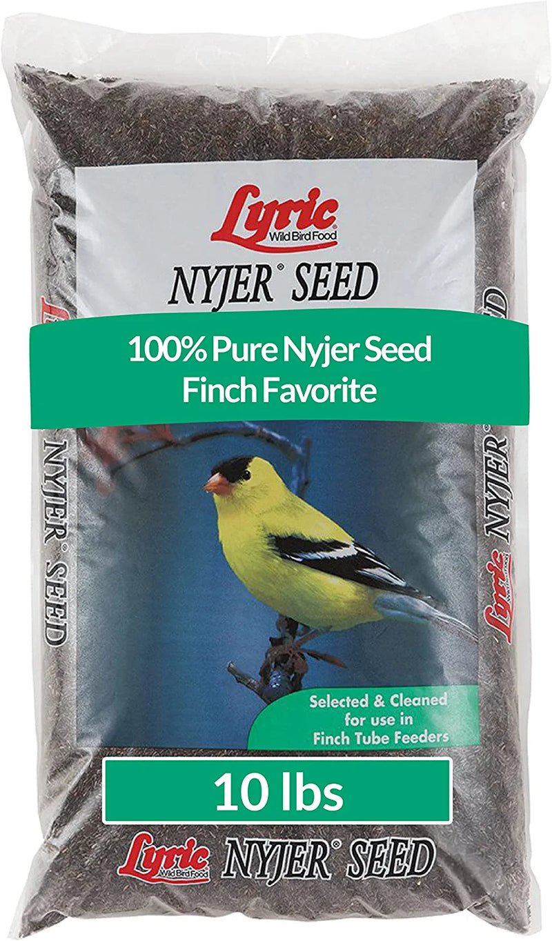 Lyric Nyjer Seed Wild Bird Seed Finch Food Bird Seed, 10 Lb. Bag Animals & Pet Supplies > Pet Supplies > Bird Supplies > Bird Food Lyric Seed 10 lb 