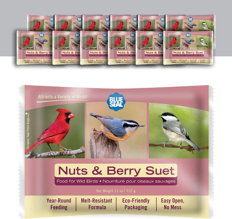 Blue Seal Nuts & Berry Suet Cake | No Mess Wild Bird Suet | 11 Oz (12 Pack) Animals & Pet Supplies > Pet Supplies > Bird Supplies > Bird Food KENT   