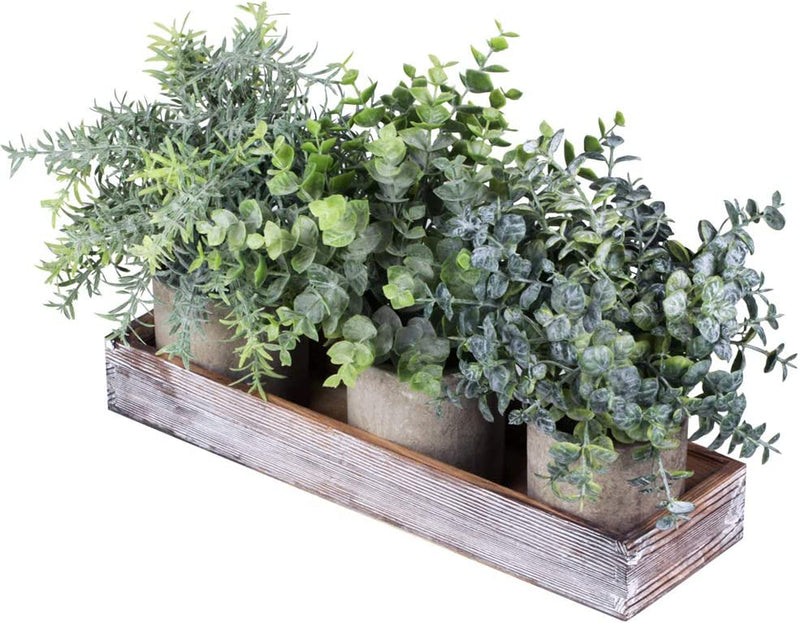Set of 3 Mini Potted Artificial Eucalyptus Plants Faux Rosemary Plant Assortment with Wood Planter Box for Indoor Office Desk Apartment Wedding Tabletop Greenery Decorations 8.7" Tall Home & Garden > Decor > Seasonal & Holiday Decorations Winlyn   