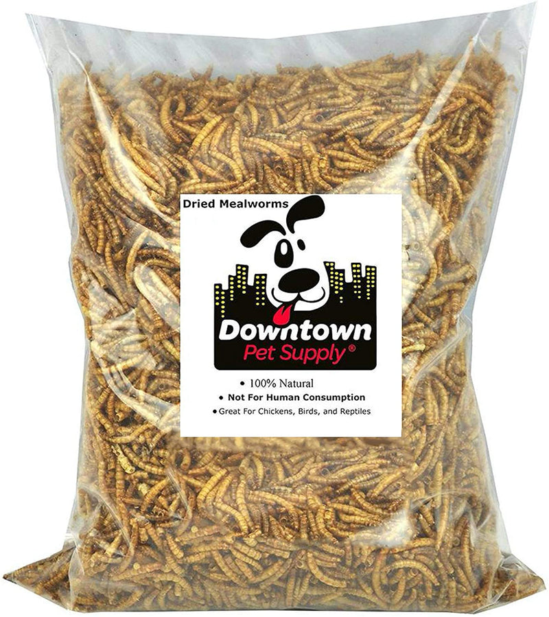 Downtown Pet Supply Dried Black Soldier Fly Larvae - Rich in Vitamin B12, B5, Protein, Fiber and Omega 3 Fatty Acids - Chicken, Duck and Bird Food - Reptile and Turtle Food - 0.5 Lbs Animals & Pet Supplies > Pet Supplies > Bird Supplies > Bird Food Downtown Pet Supply Dried Mealworms 5 LB 