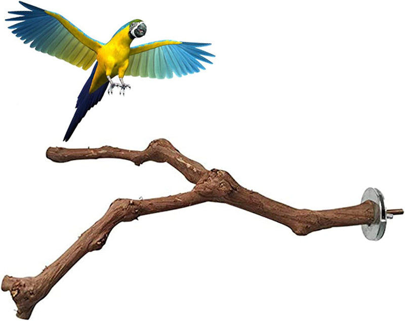 PINVNBY Parrot Perches Natural Birds Stand Wild Grape Stick Grinding Paw Climbing Wood Cage Accessories and Toy for Parakeet, Lovebirds,Budgies,Cockatiels and Finches Animals & Pet Supplies > Pet Supplies > Bird Supplies PINVNBY Types-A  