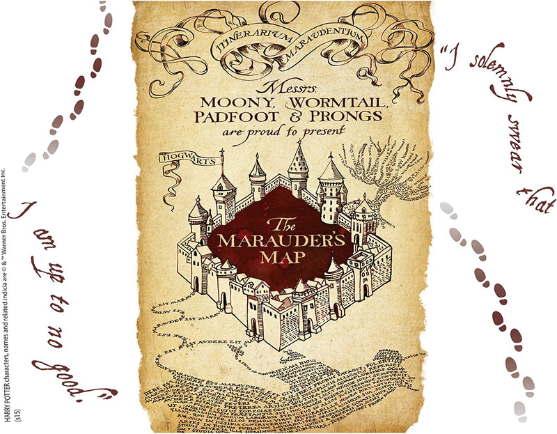 Tervis Harry Potter - the Marauder'S Map Tumbler with Wrap and Brown Lid 24Oz, Clear Home & Garden > Kitchen & Dining > Tableware > Drinkware Tervis   
