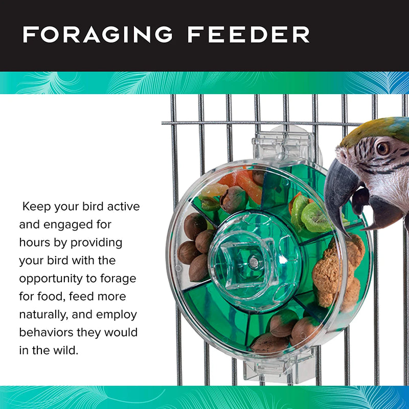 Featherland Paradise | Creative Foraging Systems Generation II Giant Foraging Wheel, Interactive Bird Cage Toy Feeder, for X-Large Birds Animals & Pet Supplies > Pet Supplies > Bird Supplies > Bird Toys Caitec Corp   