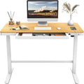 FLEXISPOT EW8 Comhar Electric Standing Desk with Drawers Charging USB a to C Port, Height Adjustable 48" Whole-Piece Quick Install Home Office Computer Laptop Table with Storage (White Top + Frame) Home & Garden > Household Supplies > Storage & Organization FLEXISPOT Red Oak/White Wood 