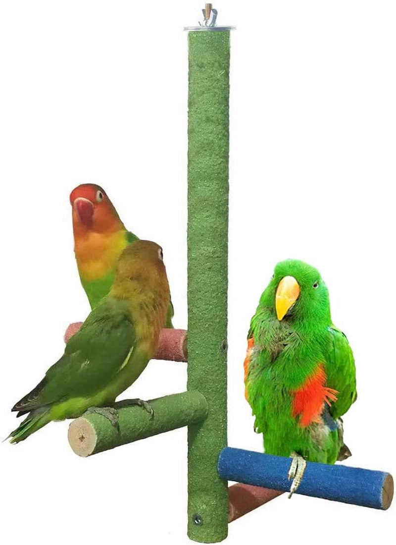 ZOHOKO Bird Cage Perch Stand Toy - Rough Surfaced Stand Branch 4Pcs for for Parakeets Cockatiels Finches Animals & Pet Supplies > Pet Supplies > Bird Supplies ZHKSHOP   