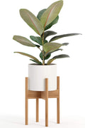 Fox & Fern Mid Century Modern Plant Stand, Plant Stand Indoor, Indoor Plant Stand, Plant Stands for Indoor Plants, Plant Holder, Corner Plant Stand - excluding Plant Pot - Acacia Wood - Fits 10" Pot Sporting Goods > Outdoor Recreation > Fishing > Fishing Rods Fox & Fern Bamboo Fits 8" Pot 
