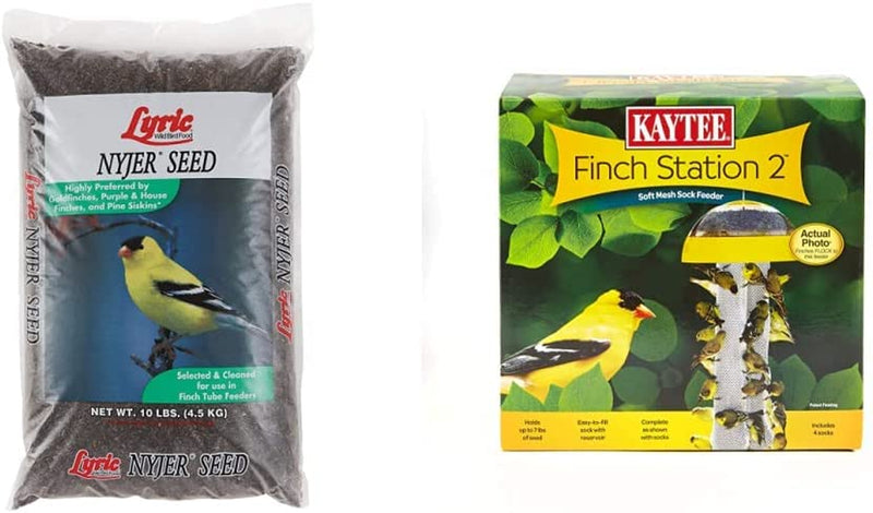 Lyric Nyjer Seed Wild Bird Seed Finch Food Bird Seed, 10 Lb. Bag Animals & Pet Supplies > Pet Supplies > Bird Supplies > Bird Food Lyric Seed + Finch Feeder 10 lb 
