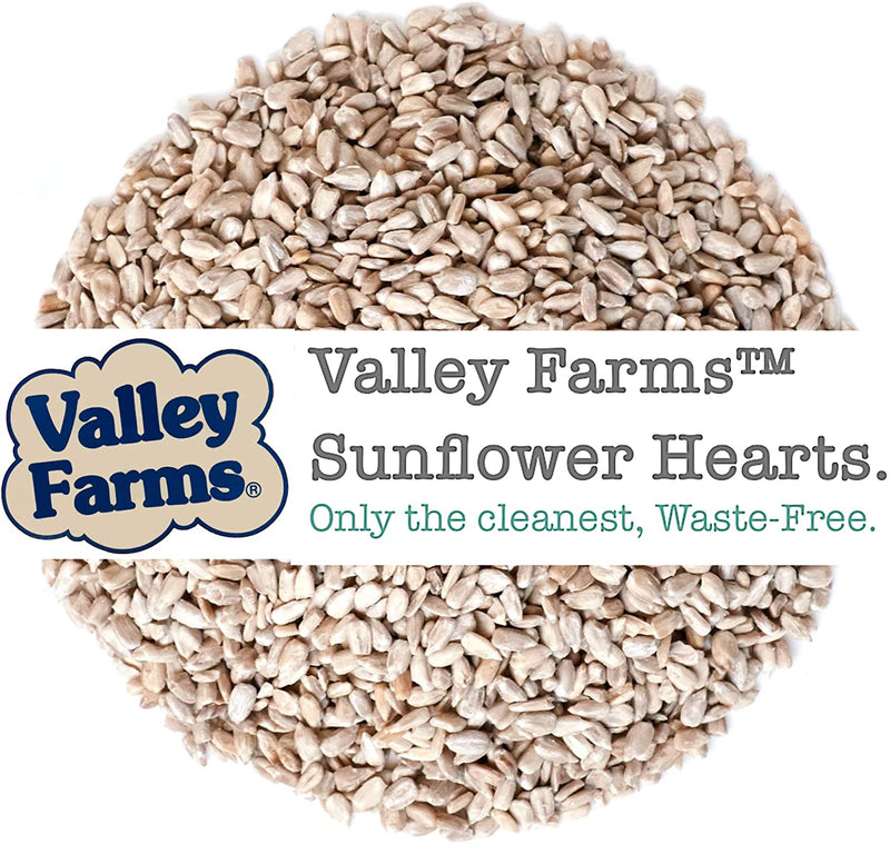Valley Farms Sunflower Hearts Wild Bird Food - 15 Lbs Animals & Pet Supplies > Pet Supplies > Bird Supplies > Bird Food Truffa Seed Co., Inc.   
