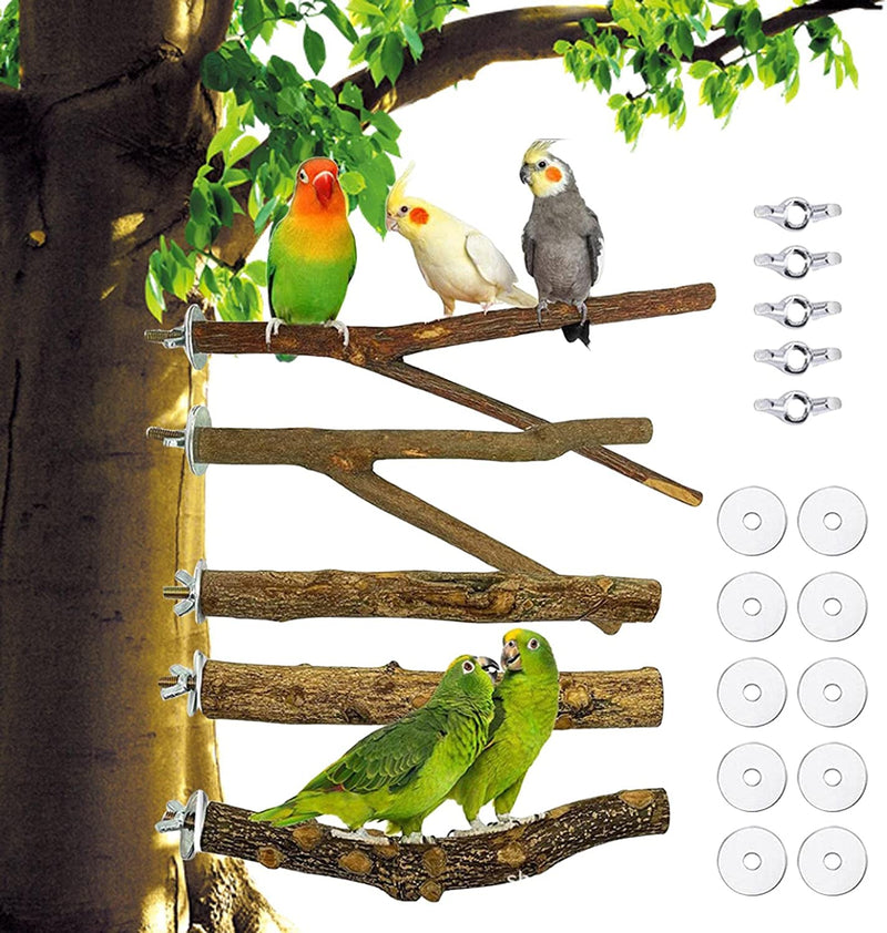 JISADER 5X Bird Perch Stand Chewing Toys Climbing Branch for Parakeets Small Animal, 20Cm Animals & Pet Supplies > Pet Supplies > Bird Supplies JISADER   