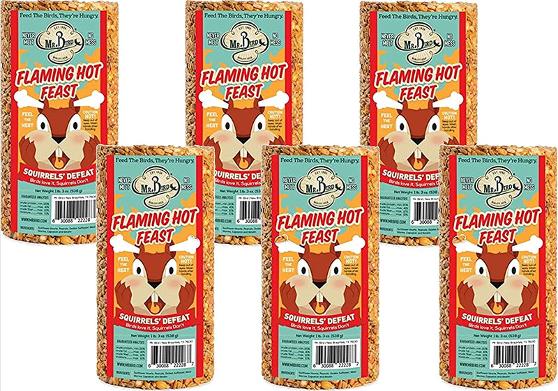 2-Pack of Mr. Bird Flaming Hot Feast Small Cylinder 19 Oz. Animals & Pet Supplies > Pet Supplies > Bird Supplies > Bird Food Mr. Bird 6  