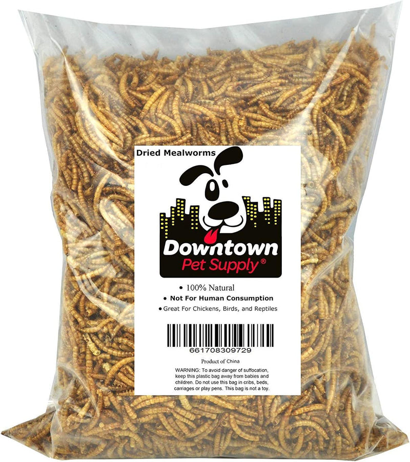 Downtown Pet Supply Dried Black Soldier Fly Larvae - Rich in Vitamin B12, B5, Protein, Fiber and Omega 3 Fatty Acids - Chicken, Duck and Bird Food - Reptile and Turtle Food - 0.5 Lbs Animals & Pet Supplies > Pet Supplies > Bird Supplies > Bird Food Downtown Pet Supply Dried Mealworms 2 LB 