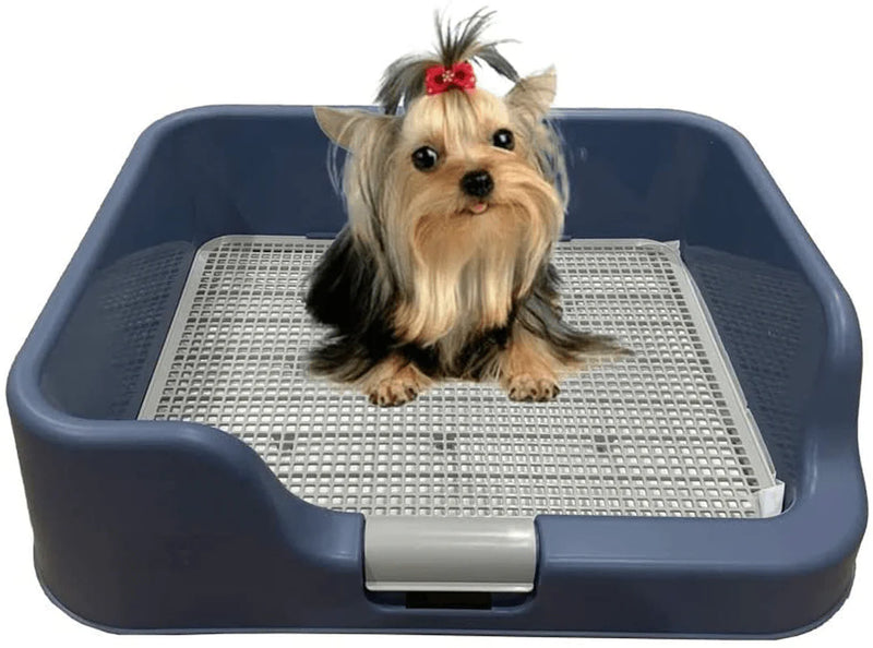[DogCharge] Indoor Dog Potty Tray – with Protection Wall Every Side for No Leak, Spill, Accident - Keep Paws Dry and Floors Clean Animals & Pet Supplies > Pet Supplies > Dog Supplies > Dog Diaper Pads & Liners PS Korea Blue 1 Count (Pack of 1) 