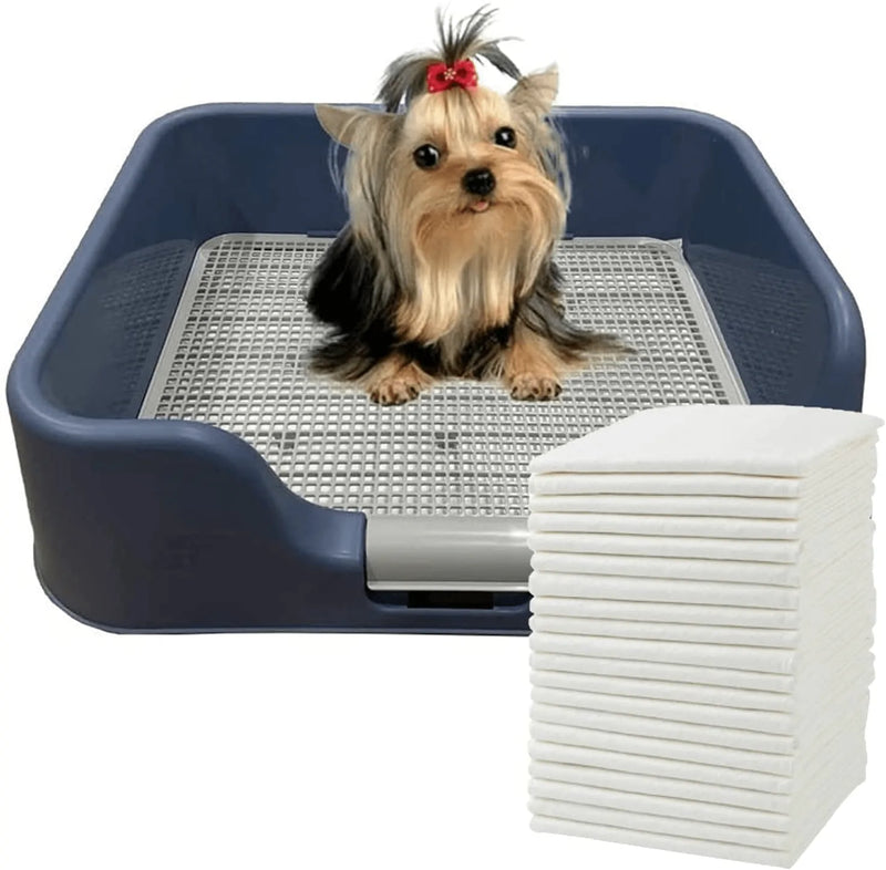 [DogCharge] Indoor Dog Potty Tray – with Protection Wall Every Side for No Leak, Spill, Accident - Keep Paws Dry and Floors Clean Animals & Pet Supplies > Pet Supplies > Dog Supplies > Dog Diaper Pads & Liners PS Korea Blue Tray+Pad 
