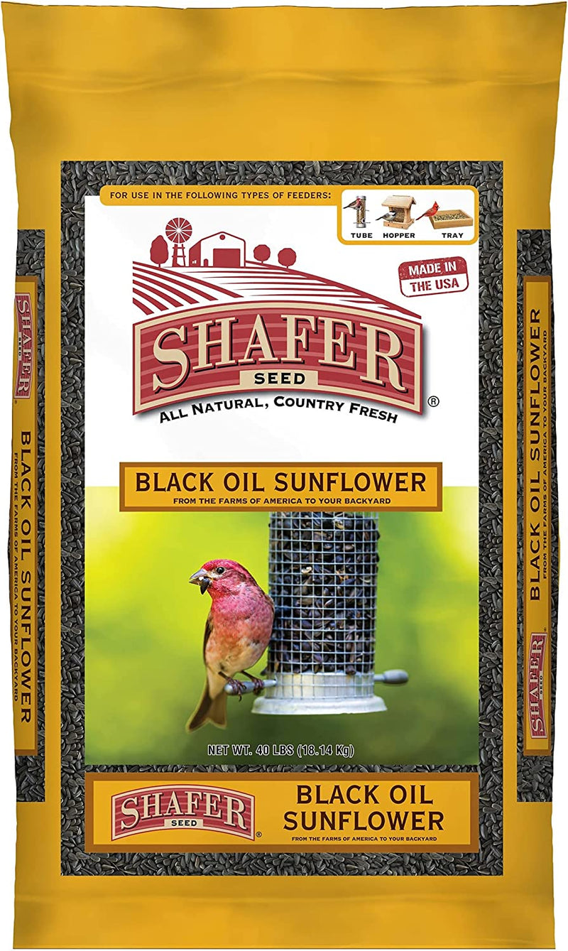 Shafer Seed 51041 40-Pound Bag, Black Oil Sunflower Wild Bird Food Animals & Pet Supplies > Pet Supplies > Bird Supplies > Bird Food Shafer Seed Seed Bag  