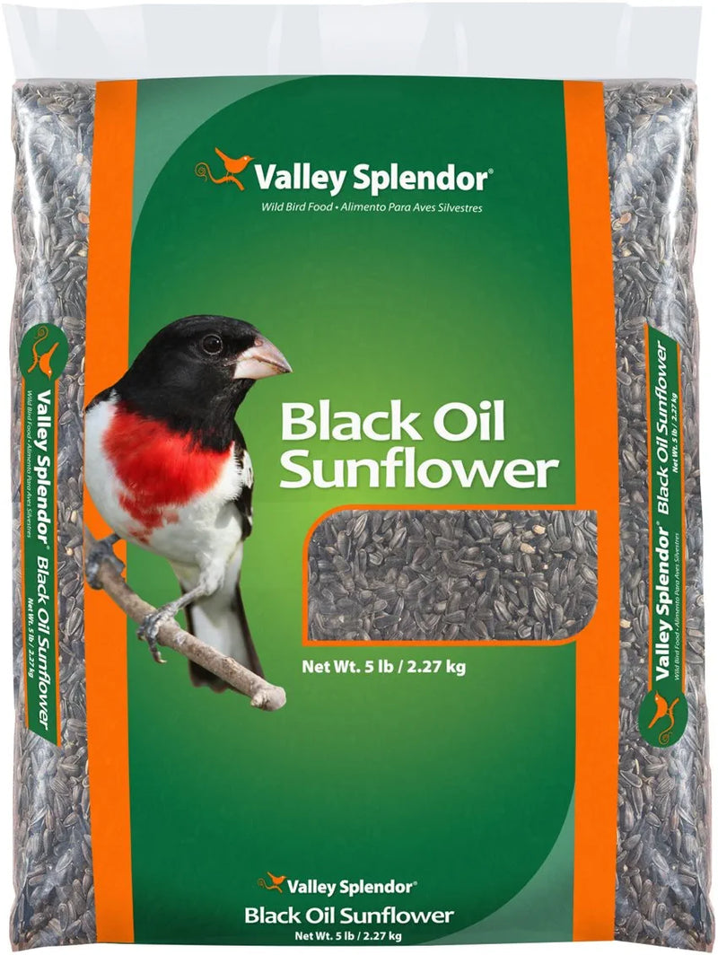 Valley Splendor 100033658 Black Oil Sunflower Seeds Wild Bird Food, 5 Pound (Pack of 1) Animals & Pet Supplies > Pet Supplies > Bird Supplies > Bird Food Red River Commodities   