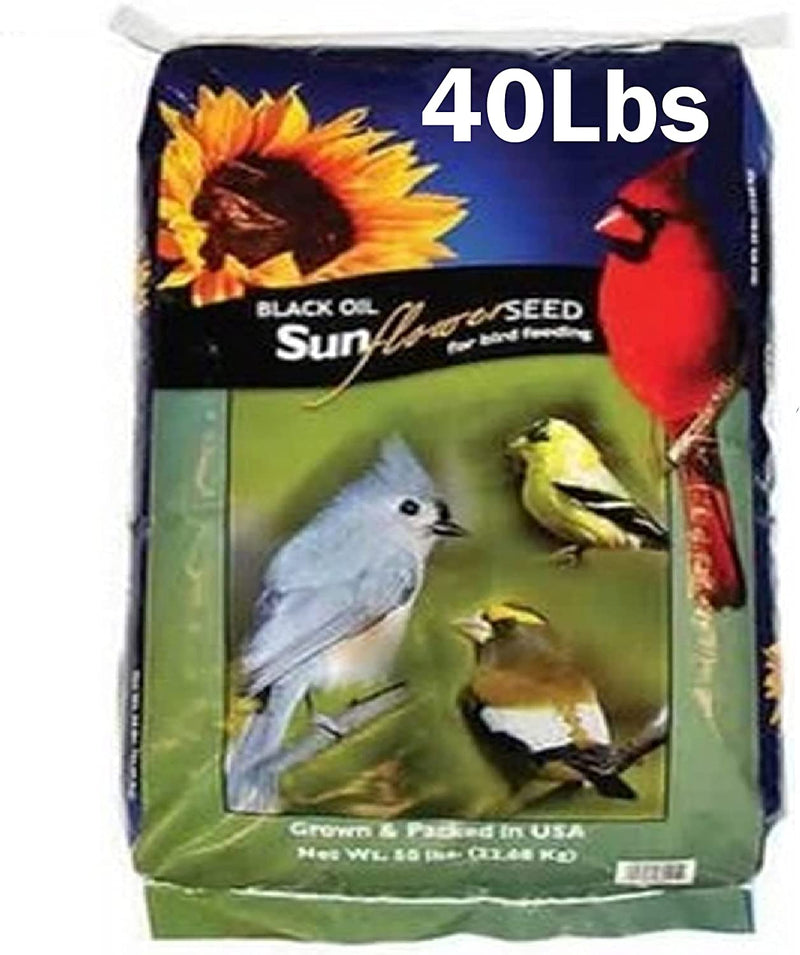 Easygoproducts Black Oil Sunflower Bird Seed Food – Wild Birds, Cardinals, Squirrels and Much More – 40 Pounds Animals & Pet Supplies > Pet Supplies > Bird Supplies > Bird Food EasyGoProducts 40 pounds  