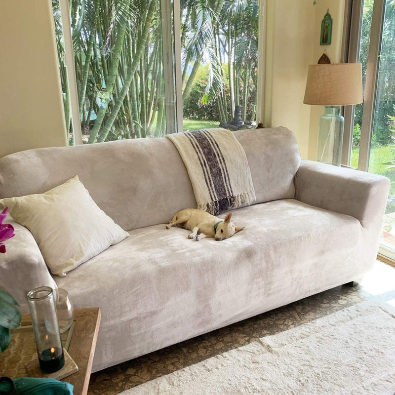 RHF Velvet-Sofa Slipcover, Stretch Couch Covers for 3 Cushion Couch-Couch Covers for Sofa-Sofa Covers for Living Room,Couch Covers for Dogs, Sofa Slipcover,Couch Slipcover(Beige-Sofa) Home & Garden > Decor > Chair & Sofa Cushions Rose Home Fashion   