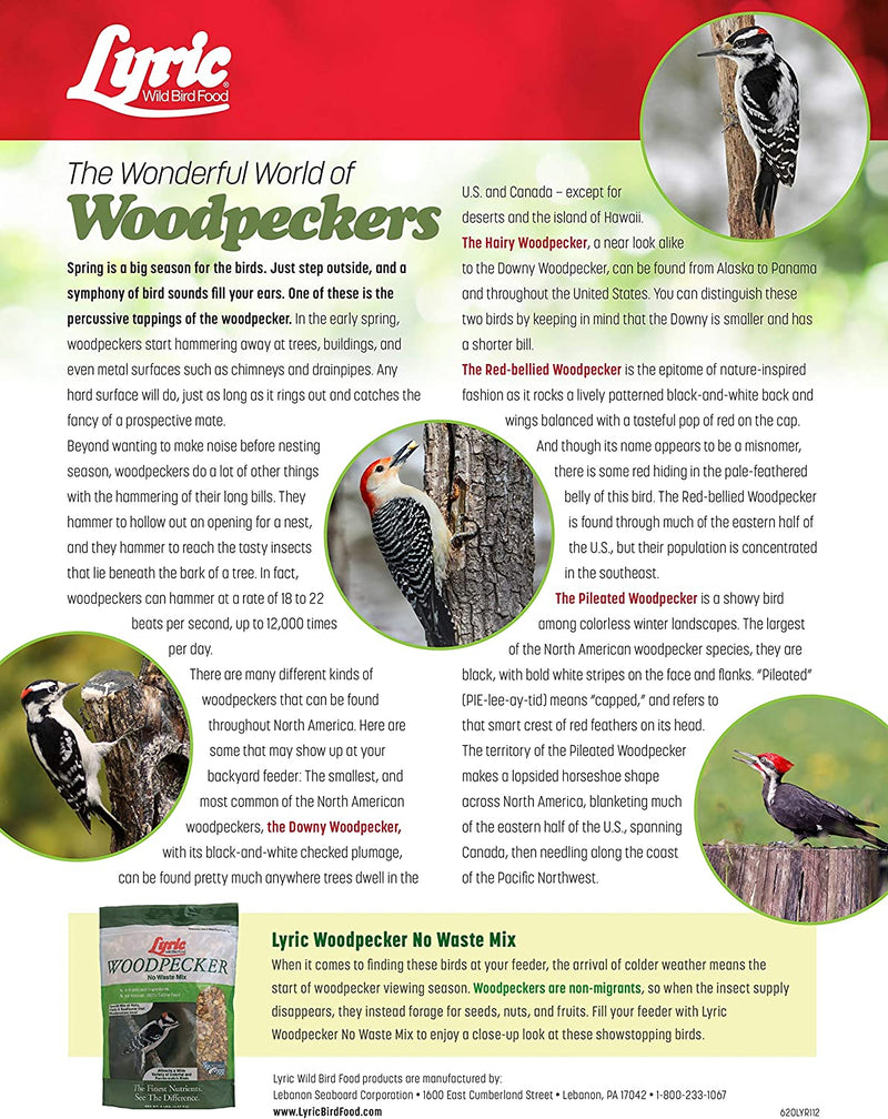 Lyric Woodpecker Wild Bird Seed - No Waste Bird Seed with Nuts, Dried Fruit & Shelled Seeds - 20 Lb Bag Animals & Pet Supplies > Pet Supplies > Bird Supplies > Bird Food Lebanon Seaboard Corporation   