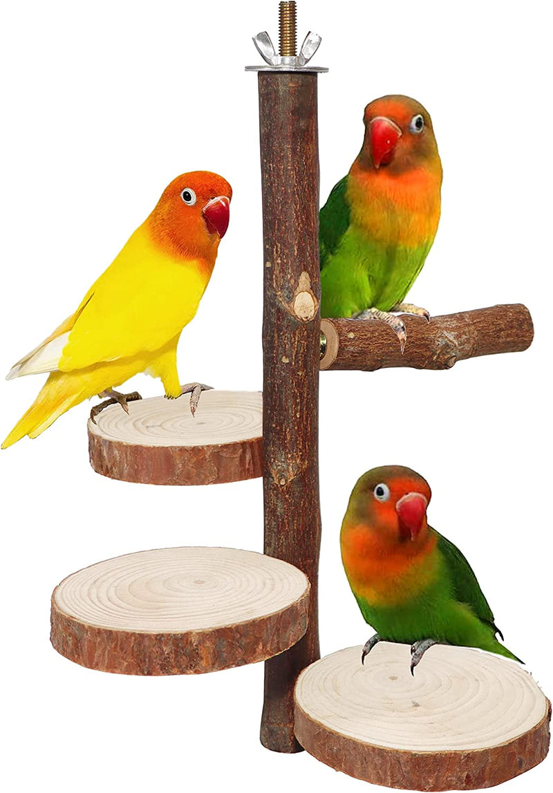 Bird Perch Nature Wood Stand for 3-4Pcs Small Medium Parrots (S) Animals & Pet Supplies > Pet Supplies > Bird Supplies Harvestkey New Wood Perch Stand  