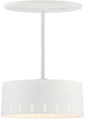 Westinghouse Lighting 6101200 Phelps One-Light Indoor Mini Pendant, Brushed Nickel Home & Garden > Lighting > Lighting Fixtures Westinghouse White  