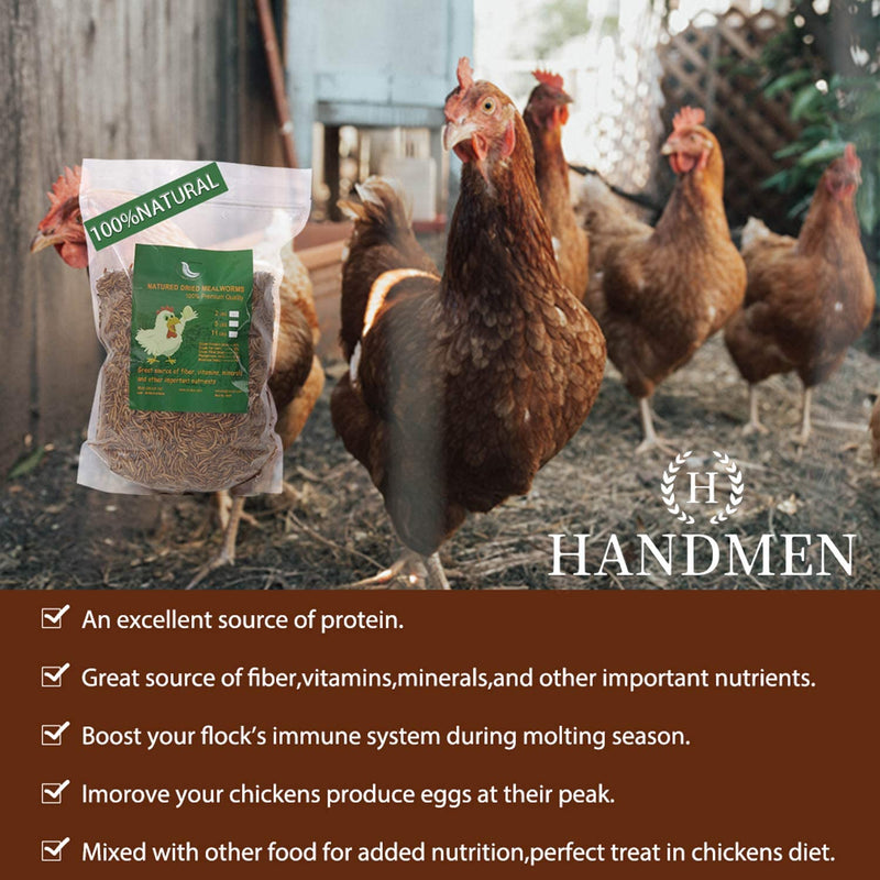 HANDMEN 6LB Non-Gmo Dried Mealworms,100% Natural High-Protein Large Mealworms for Wild Birds,Chicken, Fish,Reptile,Hamster,Bird Food Animals & Pet Supplies > Pet Supplies > Bird Supplies > Bird Food HANDMEN   