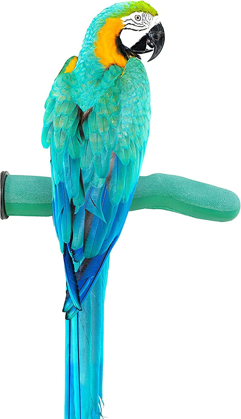 Sweet Feet and Beak Safety Pumice Perch Bird Toy - Trims Nails and Beak - Promotes Healthy Feet - Safe Non-Toxic Bird Supplies for Bird Cages - Medium 10" Animals & Pet Supplies > Pet Supplies > Bird Supplies > Bird Toys Sweet Feet and Beak Green X-Large 14" 