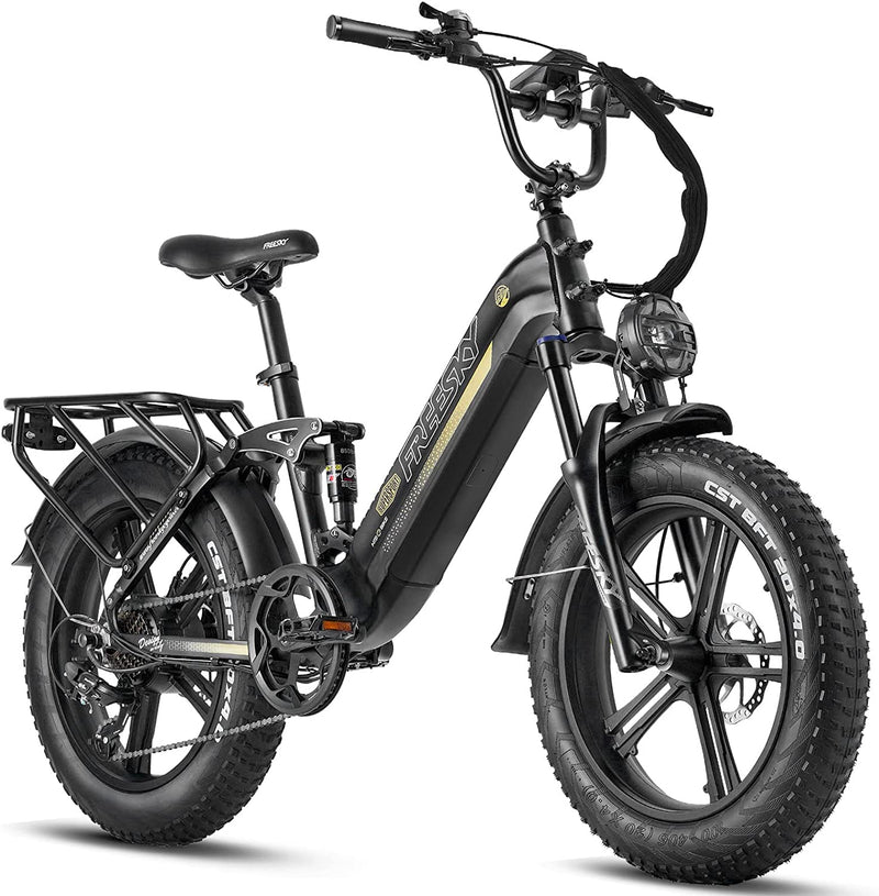 FREESKY Step-Thru Electric Bike for Adults 750W High-Speed Motor 48V 15AH Samsung Cell Battery, 20" Fat Tires Ebike 28MPH 35-80Miles Electric Commuter/City Cruiser Bike for Women, Full Suspension Ebike for Snow Sporting Goods > Outdoor Recreation > Cycling > Bicycles FREESKY Black  
