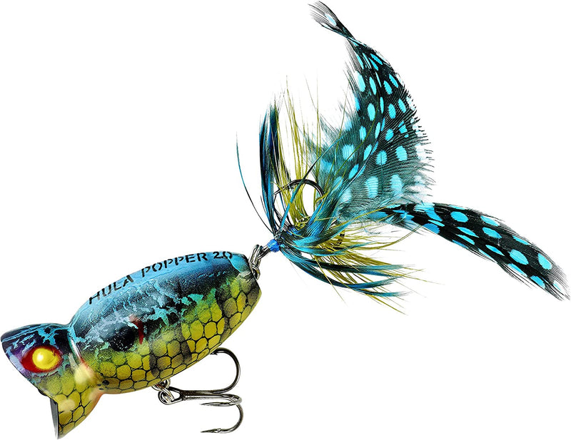 Arbogast Hula Popper 2.0 Topwater Fishing Lure with Feathered Treble Hook and Crackle Pattern Body Sporting Goods > Outdoor Recreation > Fishing > Fishing Tackle > Fishing Baits & Lures Pradco Outdoor Brands Blue Kill  
