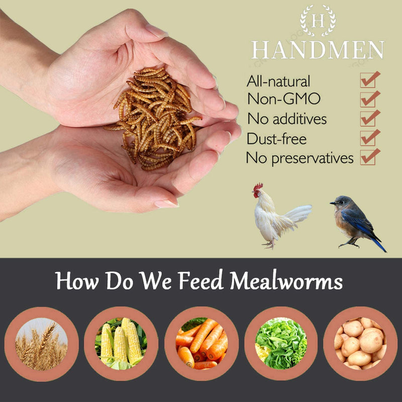 HANDMEN 6LB Non-Gmo Dried Mealworms,100% Natural High-Protein Large Mealworms for Wild Birds,Chicken, Fish,Reptile,Hamster,Bird Food Animals & Pet Supplies > Pet Supplies > Bird Supplies > Bird Food HANDMEN   
