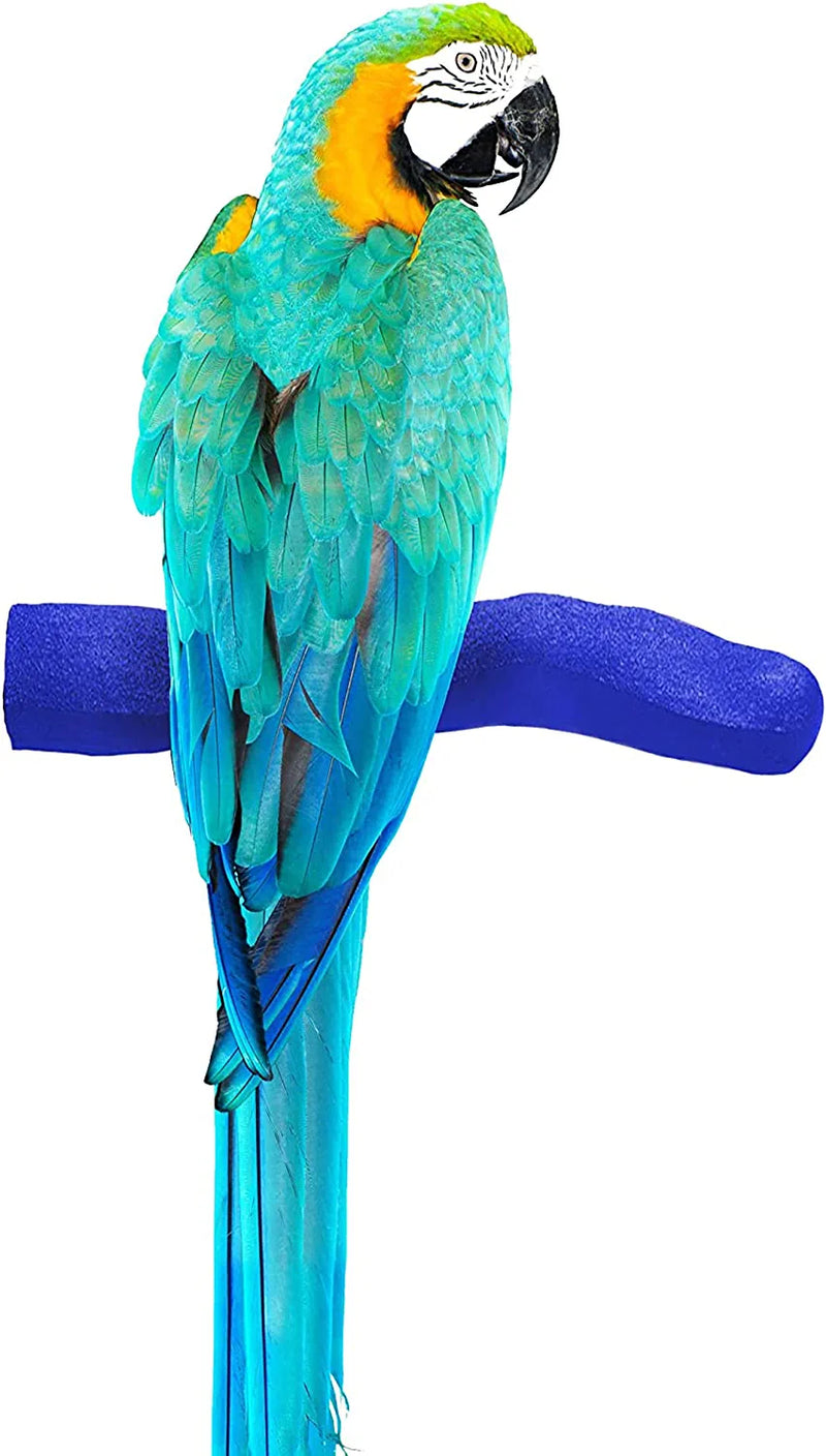 Sweet Feet and Beak Safety Pumice Perch Bird Toy - Trims Nails and Beak - Promotes Healthy Feet - Safe Non-Toxic Bird Supplies for Bird Cages - Medium 10" Animals & Pet Supplies > Pet Supplies > Bird Supplies > Bird Toys Sweet Feet and Beak Purple X-Large 14" 