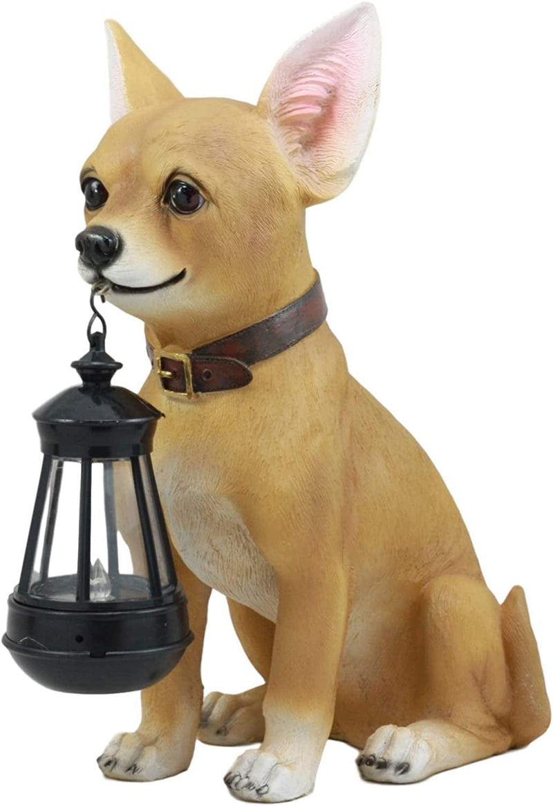 Ebros Picante Mexican Chihuahua Dog Decor Path Lighter Statue 12.5"Tall with Solar LED Light Lantern Lamp This Little Light of Mine Home & Garden > Lighting > Lamps Ebros Gift   
