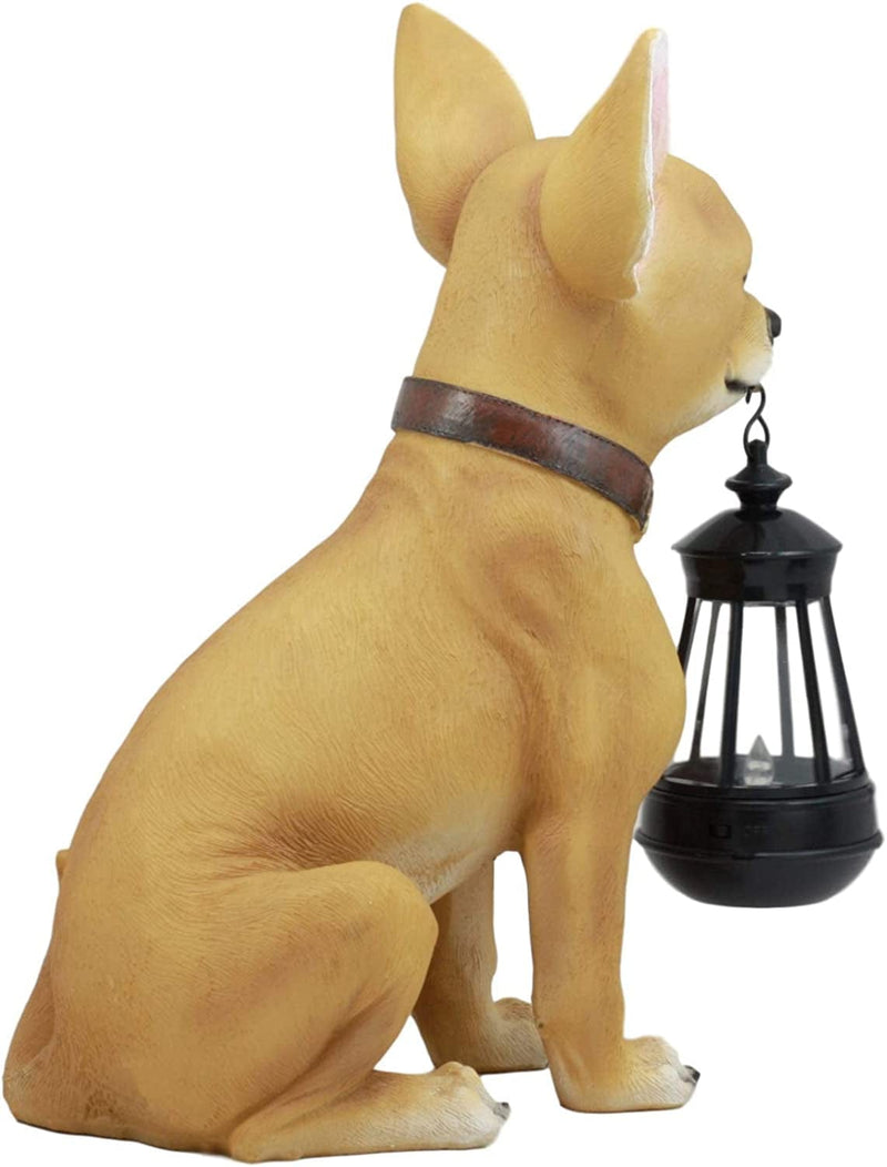 Ebros Picante Mexican Chihuahua Dog Decor Path Lighter Statue 12.5"Tall with Solar LED Light Lantern Lamp This Little Light of Mine Home & Garden > Lighting > Lamps Ebros Gift   
