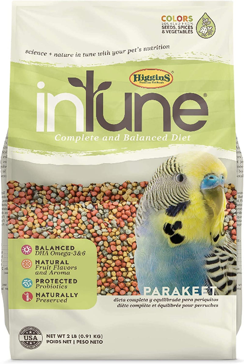 Higgins Intune Parakeet Bird Food 2Lb, Multicolor (466195) Animals & Pet Supplies > Pet Supplies > Bird Supplies > Bird Food Higgins   