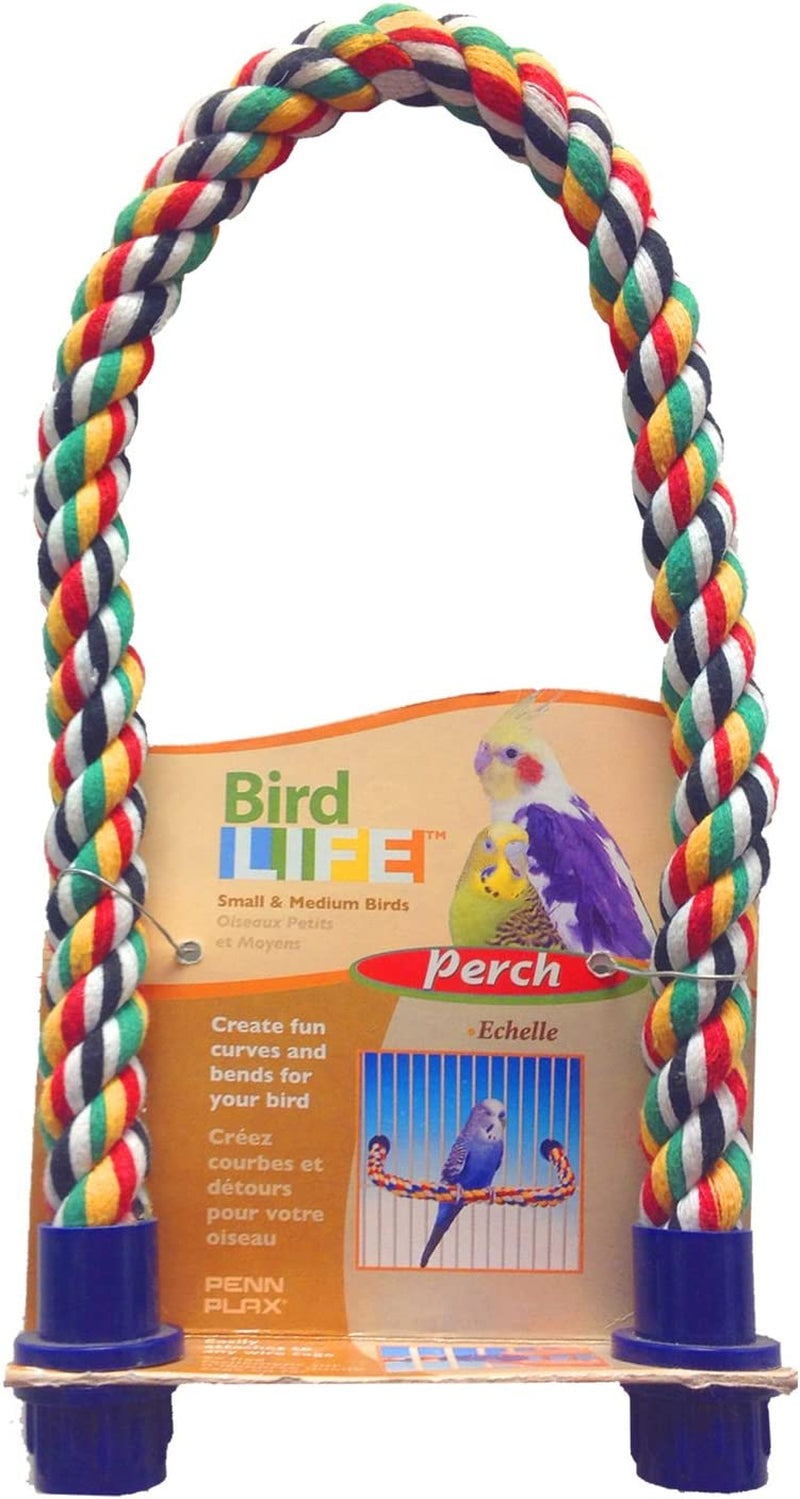 Penn-Plax Bird Life Multicolored and Flexible Rope Perch – Create Fun, Colorful Curves and Bends – Great for Small and Medium Birds – 21” Long Animals & Pet Supplies > Pet Supplies > Bird Supplies Penn-Plax   