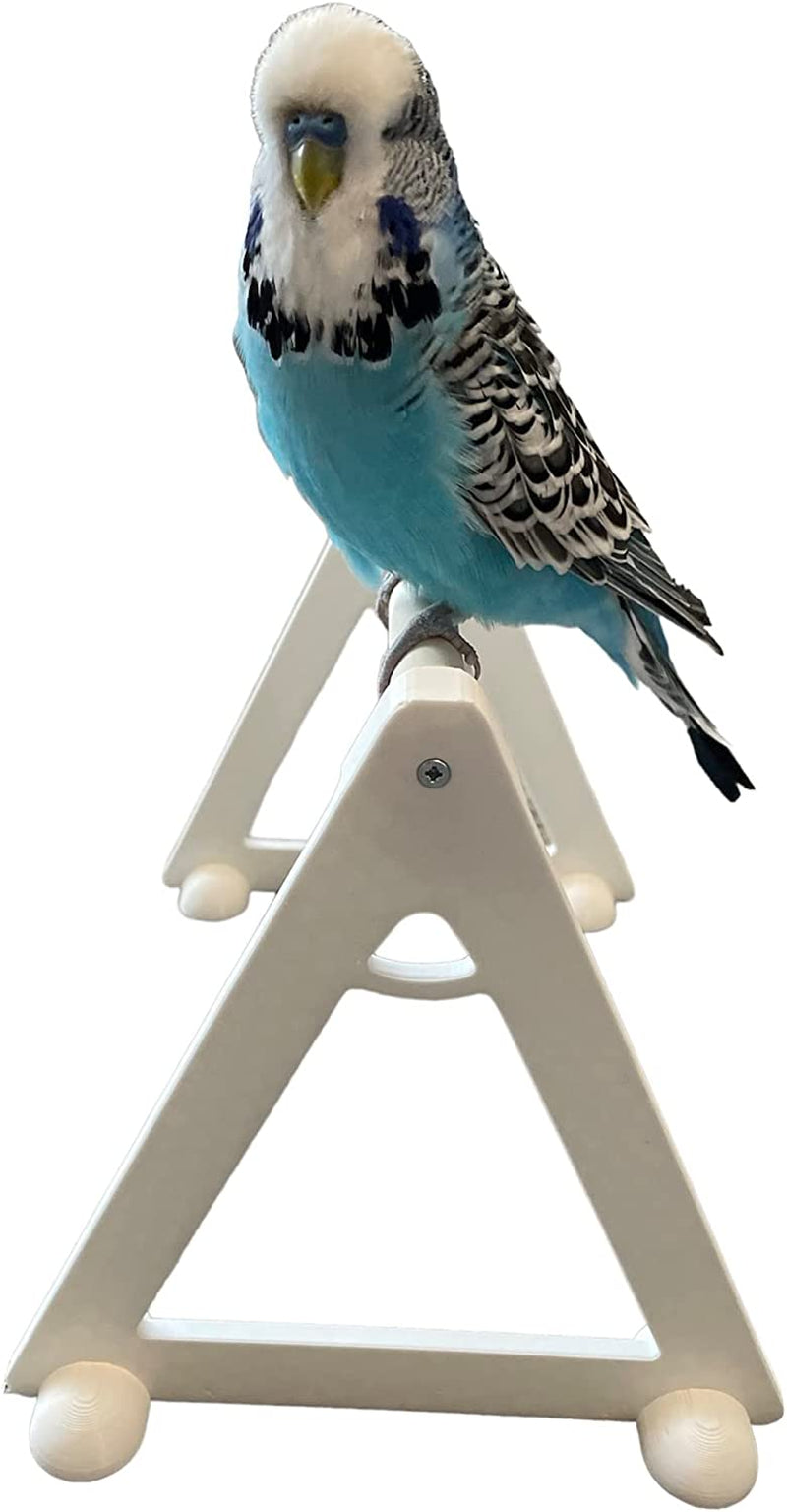 Bird Perch Floor Platform (For Small - Medium Birds) Bird Perch Stand Bird Playground - Bird Perch Stand - Bird Perches Animals & Pet Supplies > Pet Supplies > Bird Supplies EWS PRODUCTS   