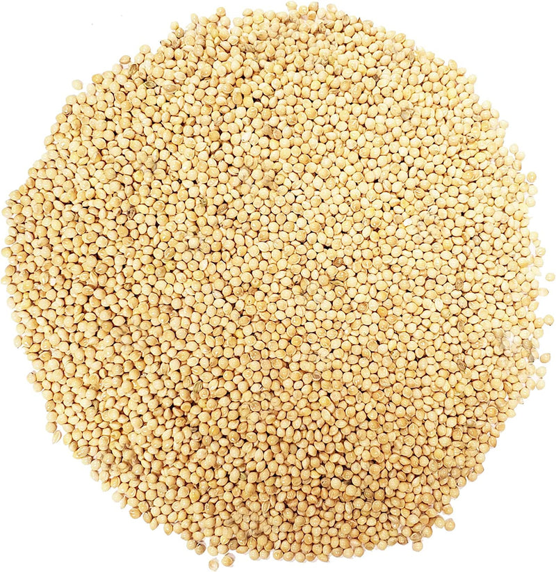 Backyard Seeds White Millet Bird Seed for Finches 8 Pounds (8 Pounds) Animals & Pet Supplies > Pet Supplies > Bird Supplies > Bird Food CountryMax   