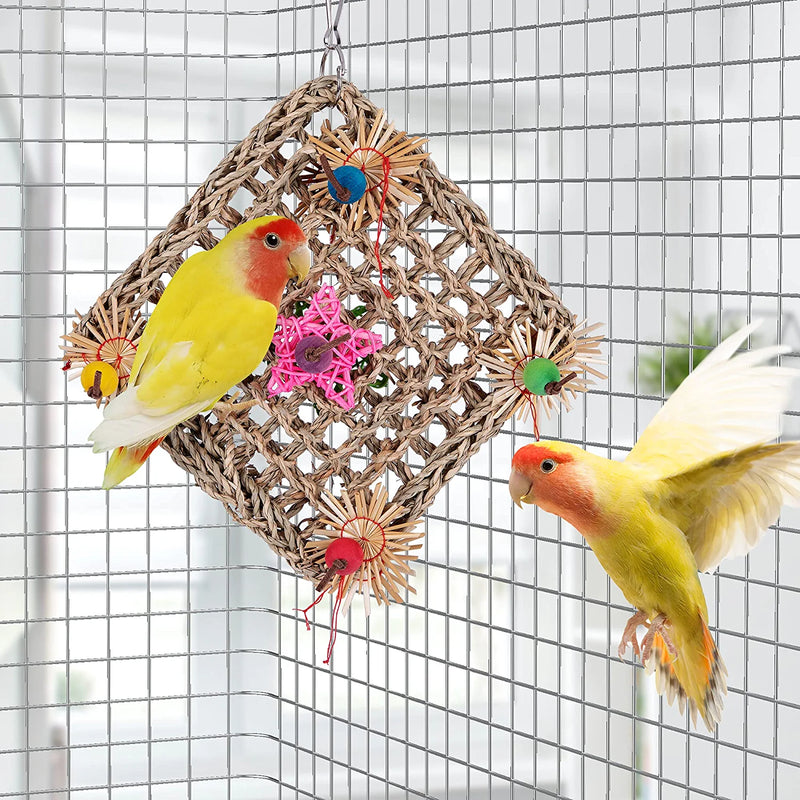 Kewkont Bird Parrot Toys,Seagrass Foraging Wall Toy for Birds，Suitable for Small Parakeets,Budgie,Macaws,Conures,Finches,Love Birds