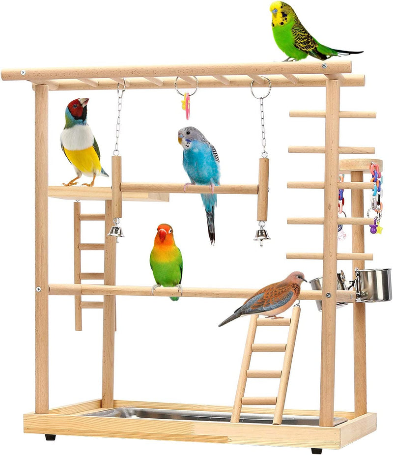 Ibnotuiy Pet Parrot Playstand Parrots Bird Playground Bird Play Stand Wood Perch Gym Playpen Ladder with Feeder Cups Bells for Cockatiel Parakeet (4 Layers) Animals & Pet Supplies > Pet Supplies > Bird Supplies Ibnotuiy 3 Layers  