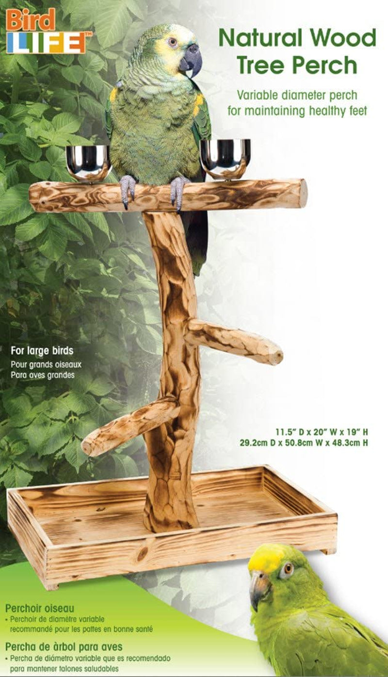 PENN-PLAX Bird-Life Natural Wood Tree Perch for Large Birds and Parrots – Includes 2 Stainless Steel Cups and Drop Tray – Large Animals & Pet Supplies > Pet Supplies > Bird Supplies Penn Plax, INC.   