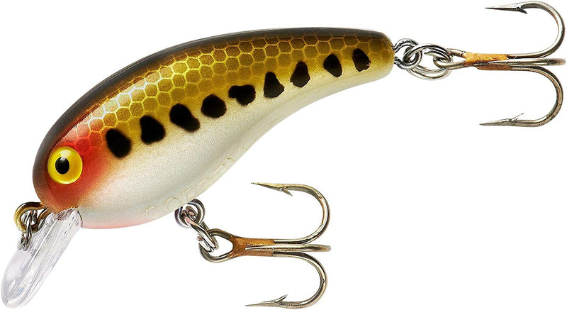 Cotton Cordell Big O Square-Lip Crankbait Fishing Lure Sporting Goods > Outdoor Recreation > Fishing > Fishing Tackle > Fishing Baits & Lures Pradco Outdoor Brands Baby Bass 2 inch 