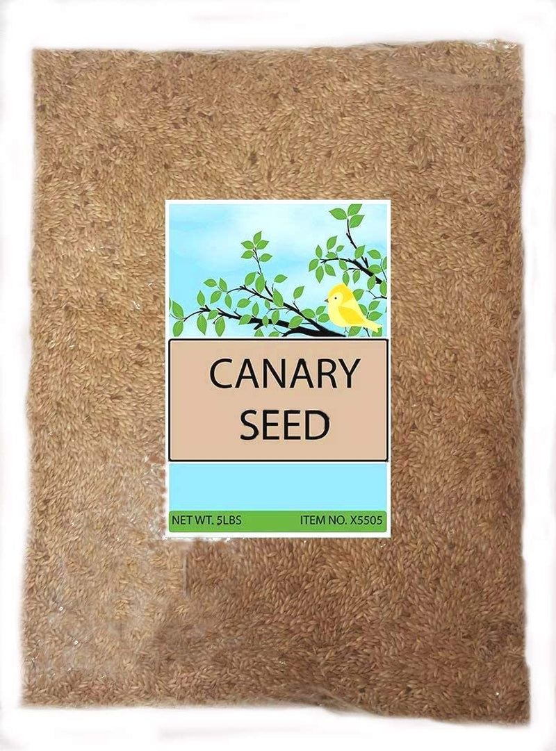 Sweet Harvest Canary Seed Alpiste Bird Food Animals & Pet Supplies > Pet Supplies > Bird Supplies > Bird Food Sweet Harvest   